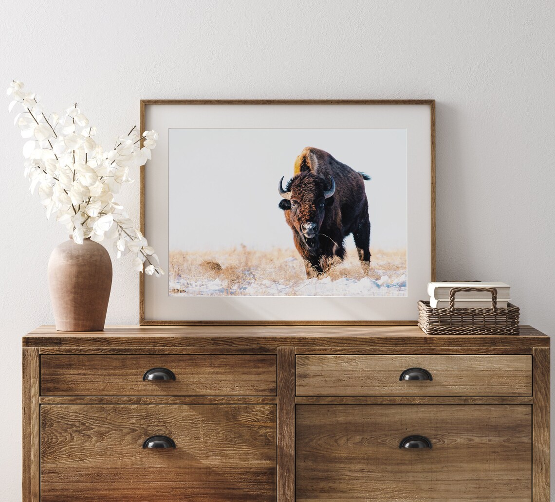 Bison Print, Western Landscape Farmhouse Art Print - Image 3