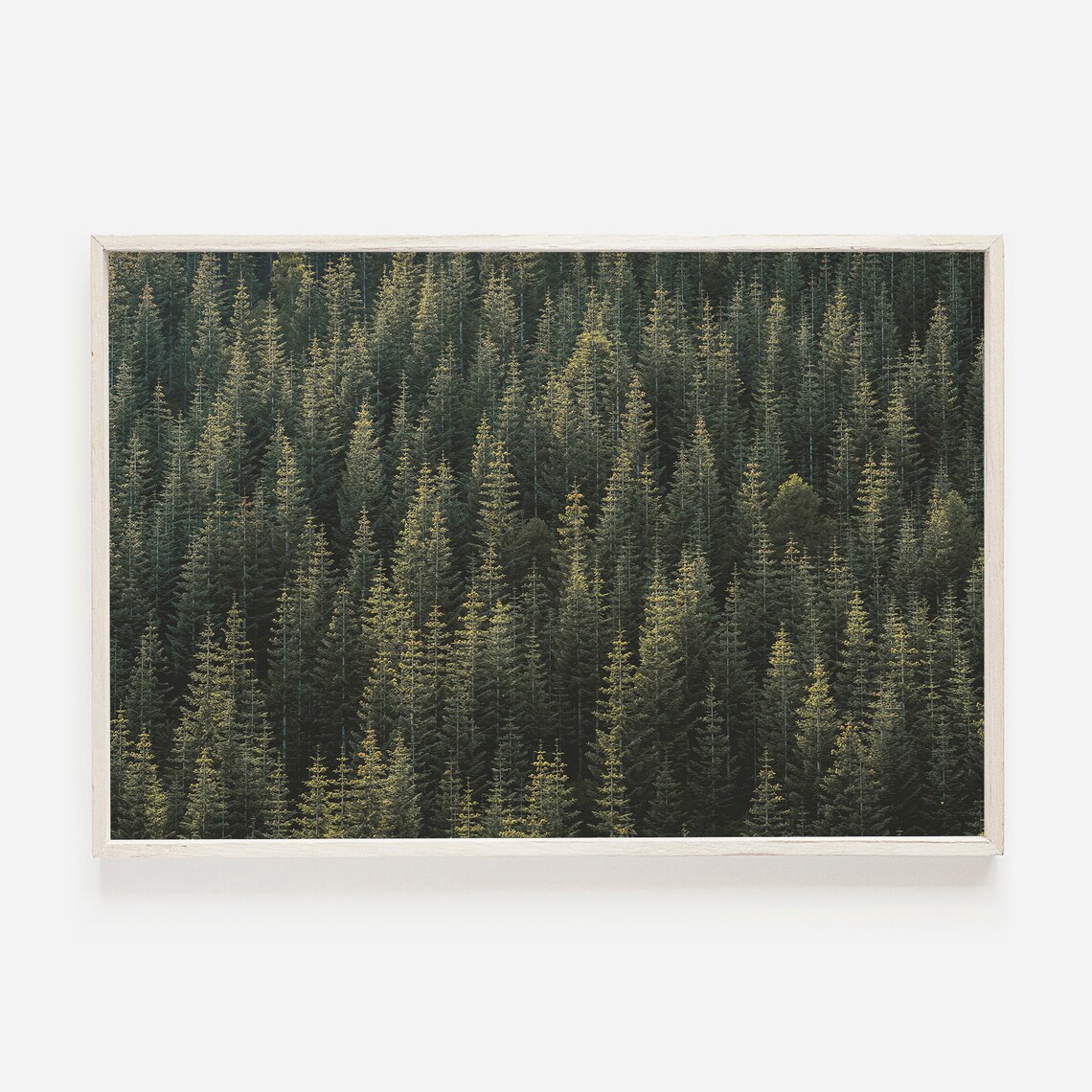 Mountain Forest Art Print, Modern Rustic Landscape