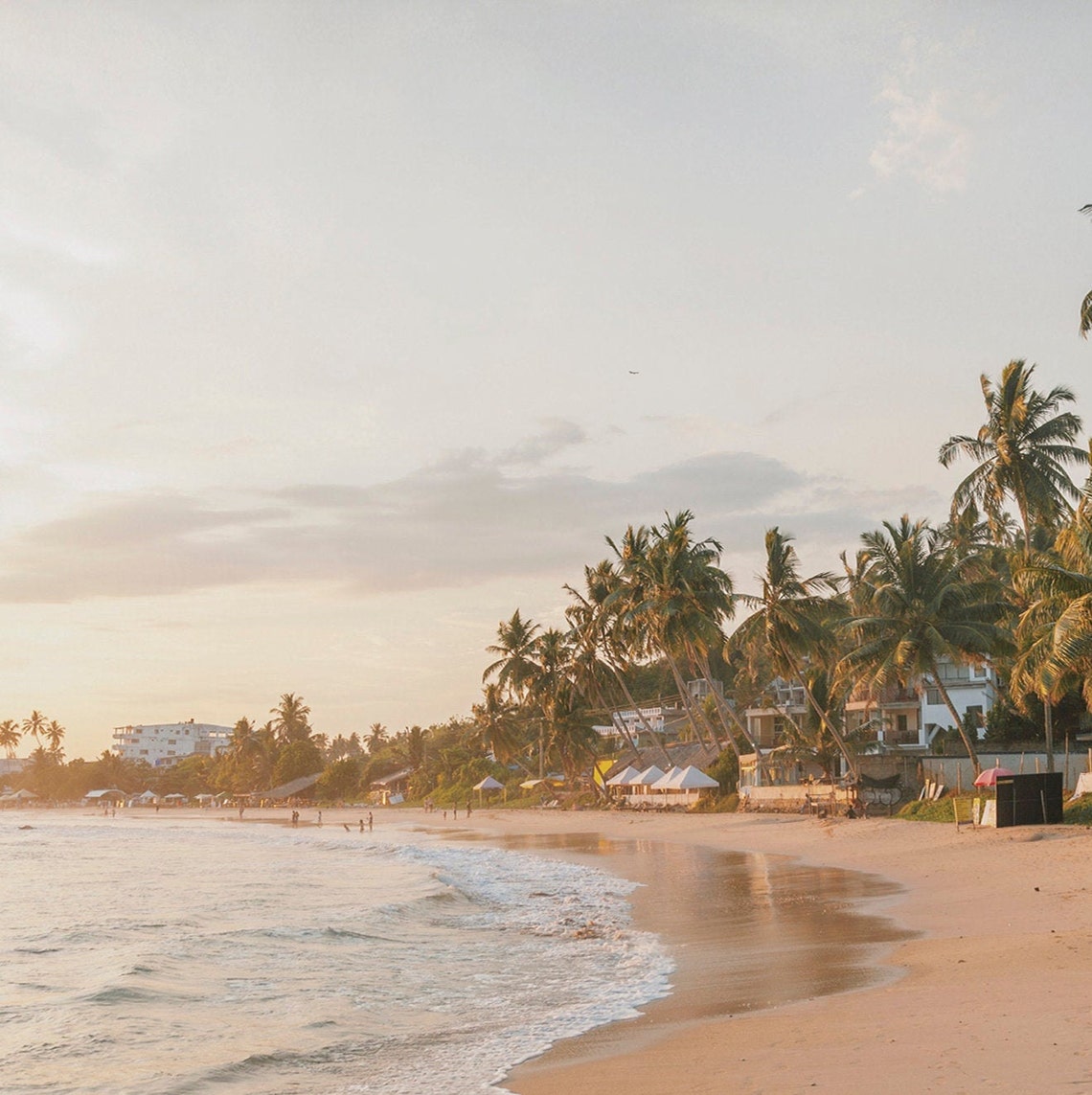 Tropical Beach Golden Hour Palm Trees Sandy Shore Travel Poster - Image 2