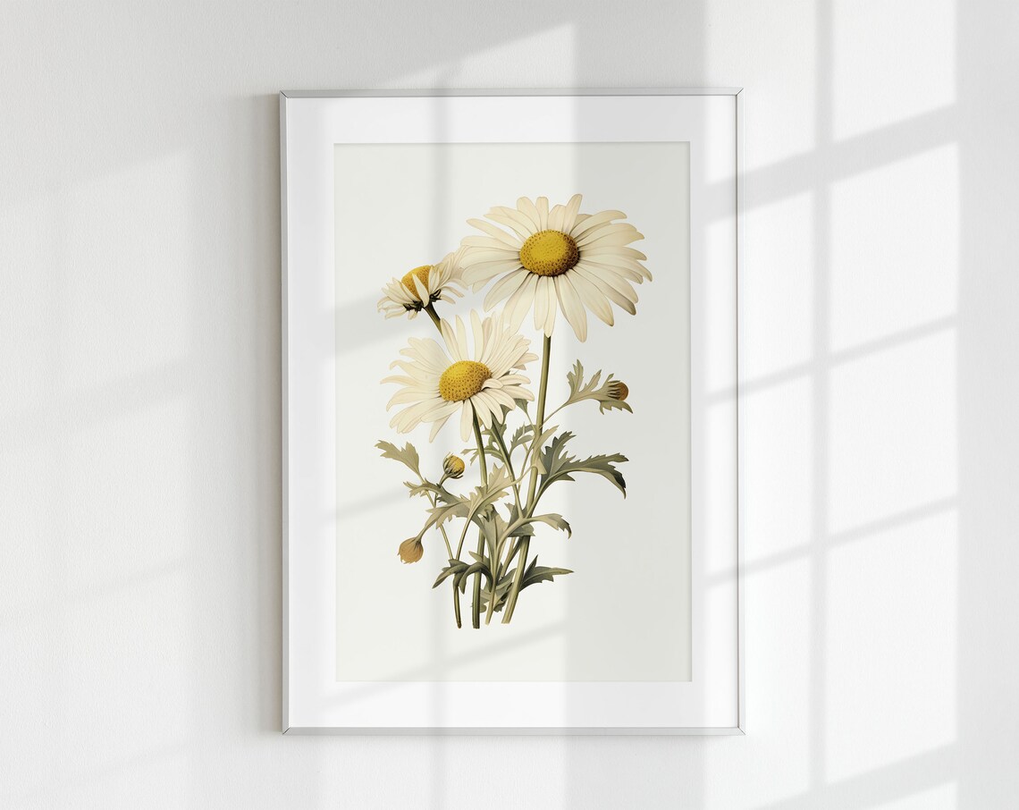 Daisy Vintage Poster, Botanical Flower Wall Art