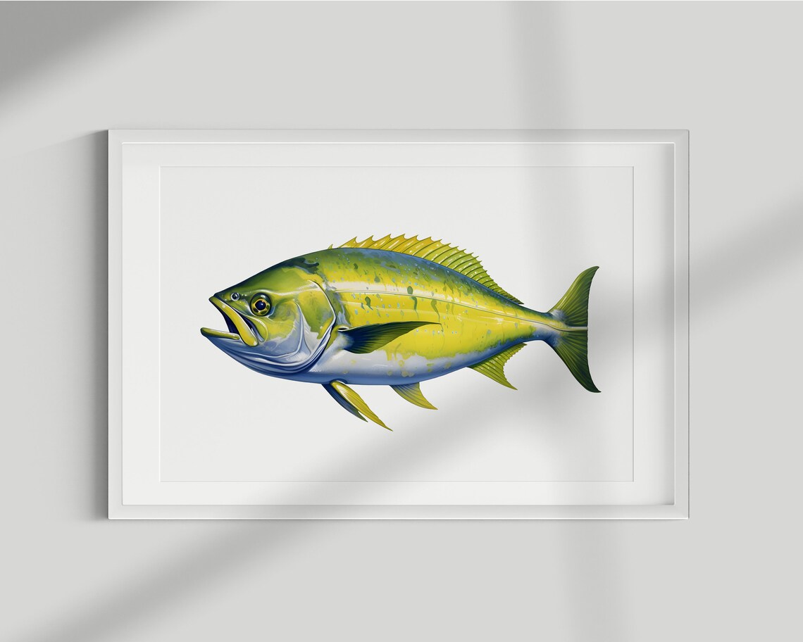Mahi Mahi Vintage Illustration Fish Poster