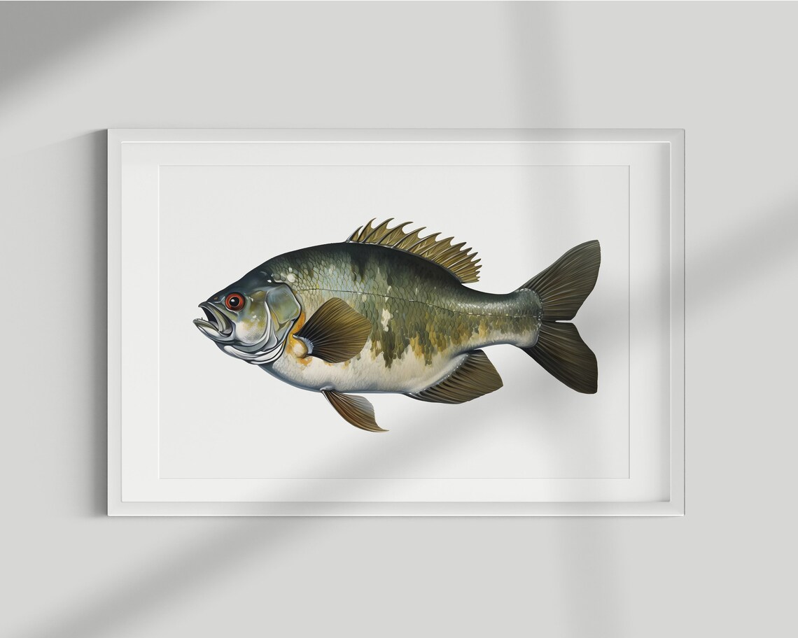 Vintage Piranha Fish Illustration Art Print