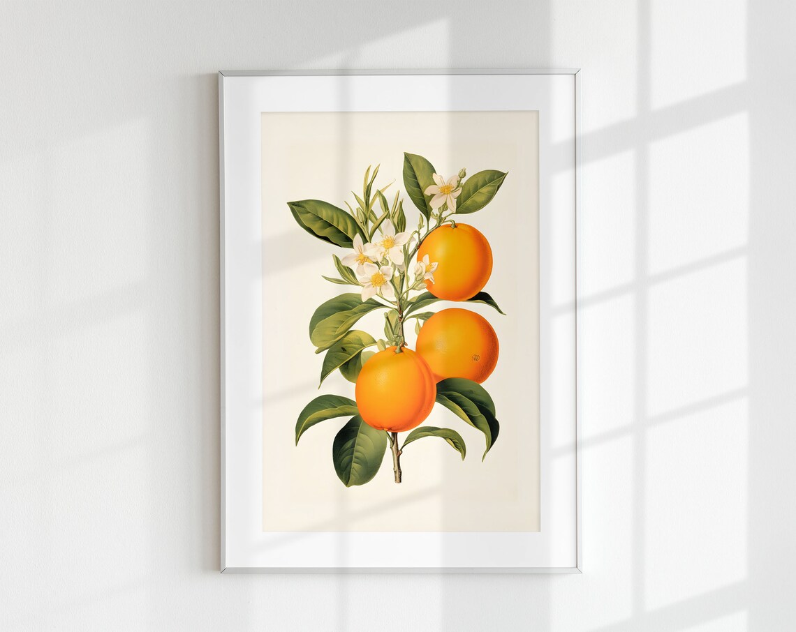 Vintage Orange Branch Botanical Fruit Art Print