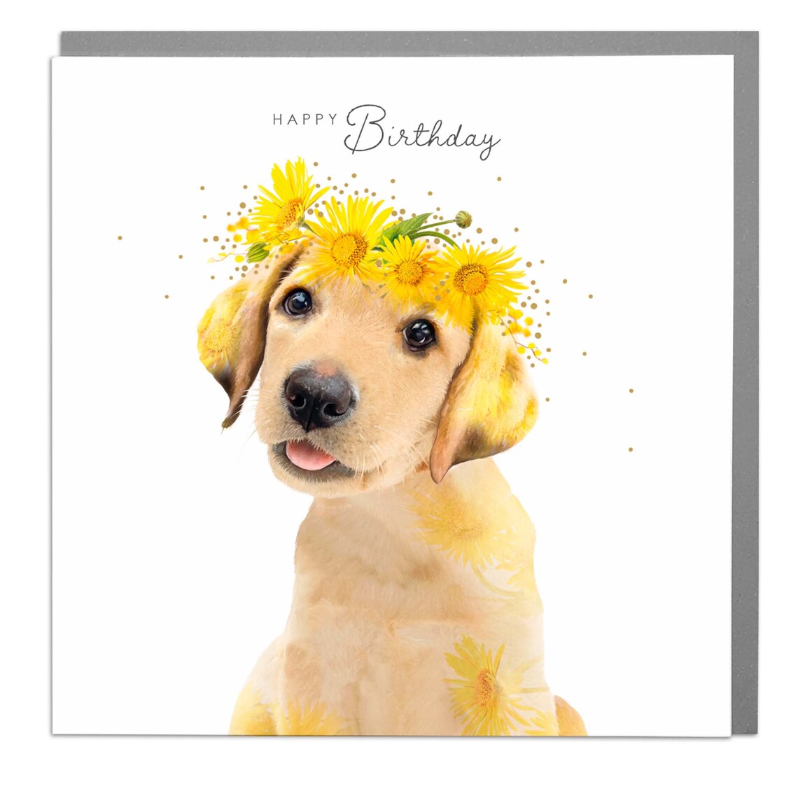 Happy Birthday Labrador Dog Greeting Card