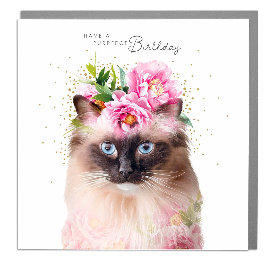 Happy Birthday Rag Doll Cat Greeting Card Print