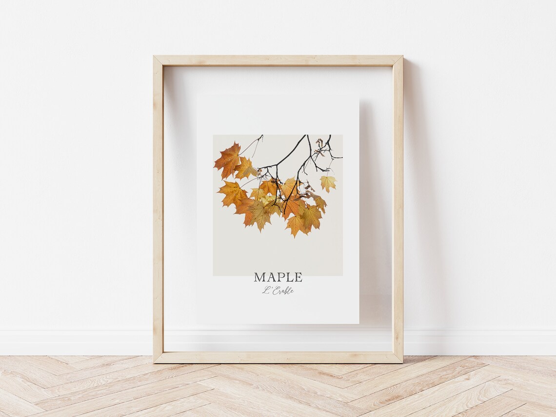 Maple Leaves Print, Fall Decor Botanical Art Print - Image 5
