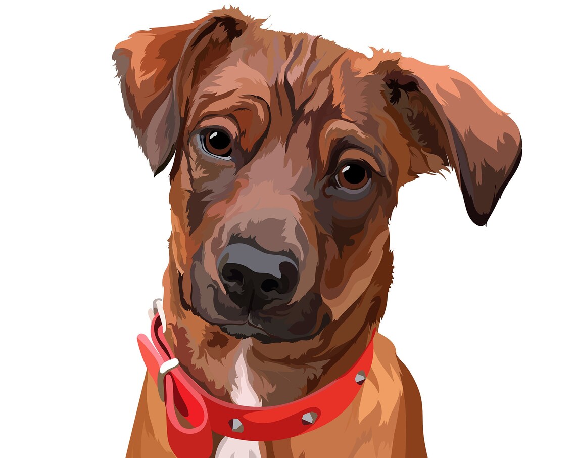 Custom Pet Portrait Illustration Puppy Portrait Pet Portrait From Photo Pet Memorial Gift Custom Dog Portrait Pet Supplies