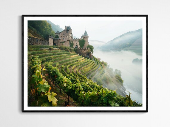 German Castle Above Terraced Vineyard Hills In Morning Mist Poster