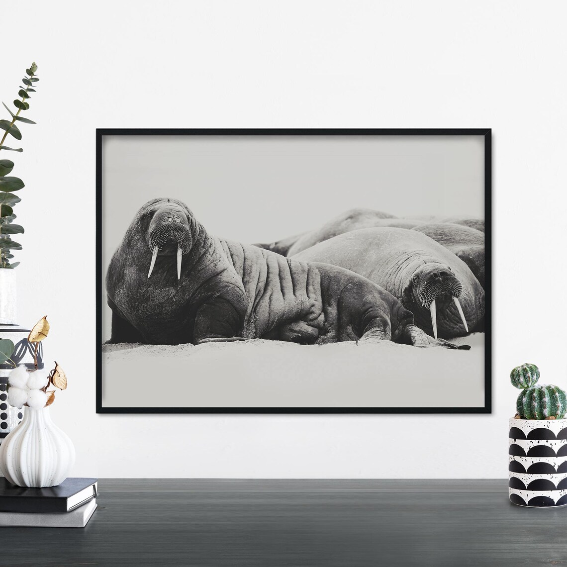 Resting Walruses Black and White Wildlife Photography Nature Art Poster