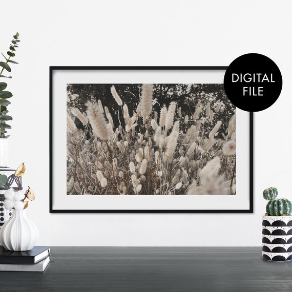 Tall Bunny Tail Grass Print Wall Art At Home File