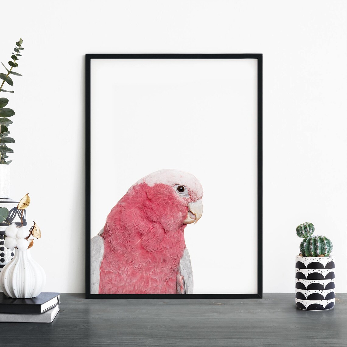 Pink Galah Cockatoo Portrait Bird Photography Style Art Print
