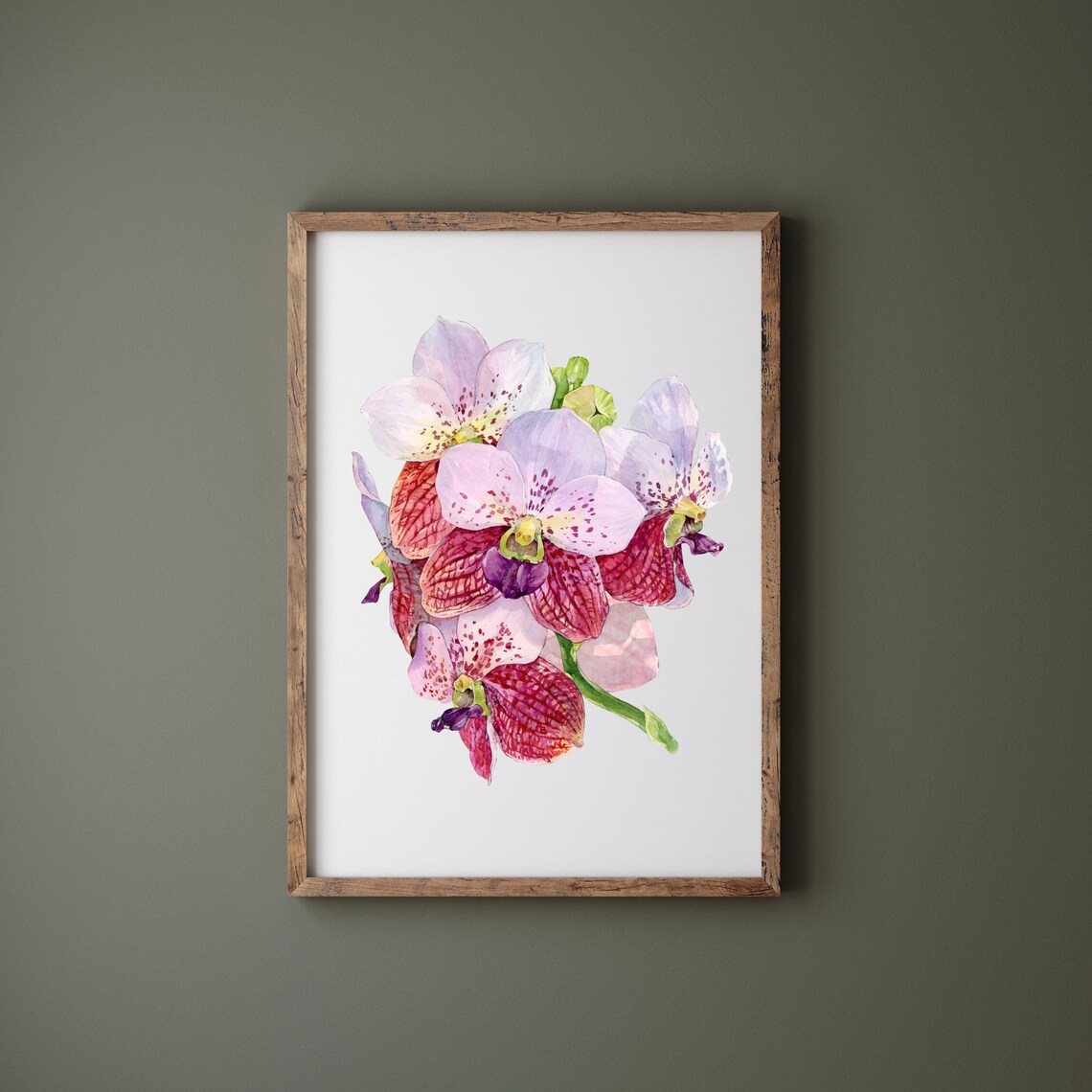 Vanda Sanderiana Orchid Pink Bloom Tropical Watercolor Floral Poster - Image 3