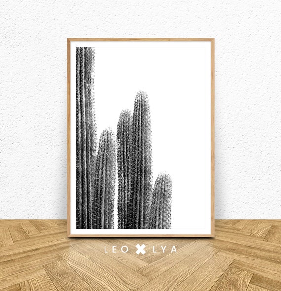 Cactus Black And White Modern Minimalist Art Print