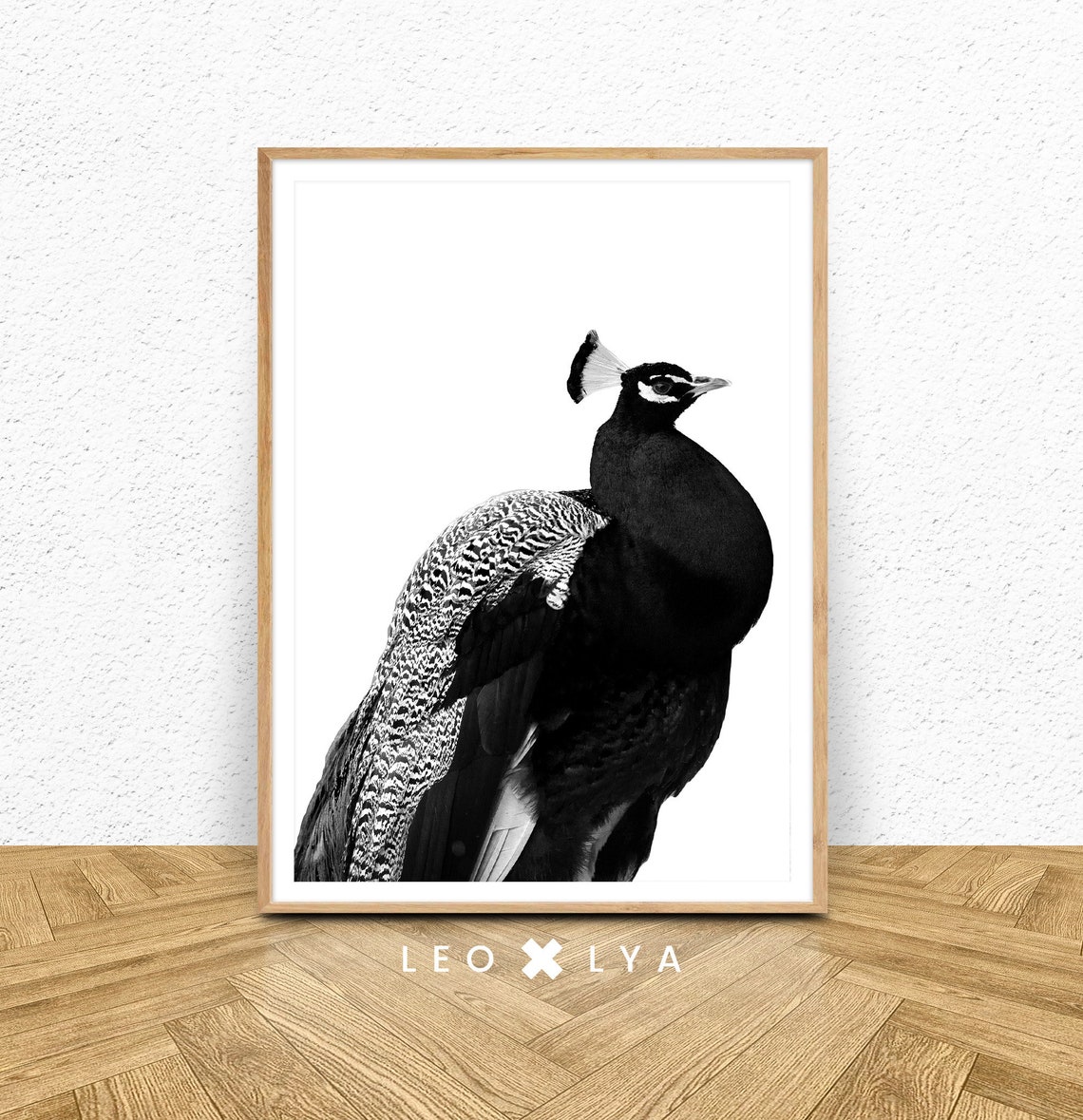 Peacock Black and White Bird Photography Elegant Wall Poster