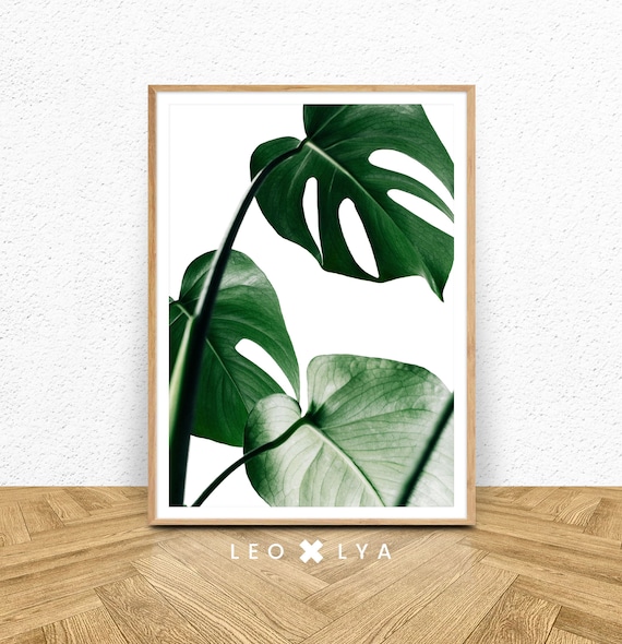 Botanical Print Monstera Leaf Print Tropical Print Monstera Plant Print Tropical Leaf Art Monstera Deliciosa Botanical Wall Art