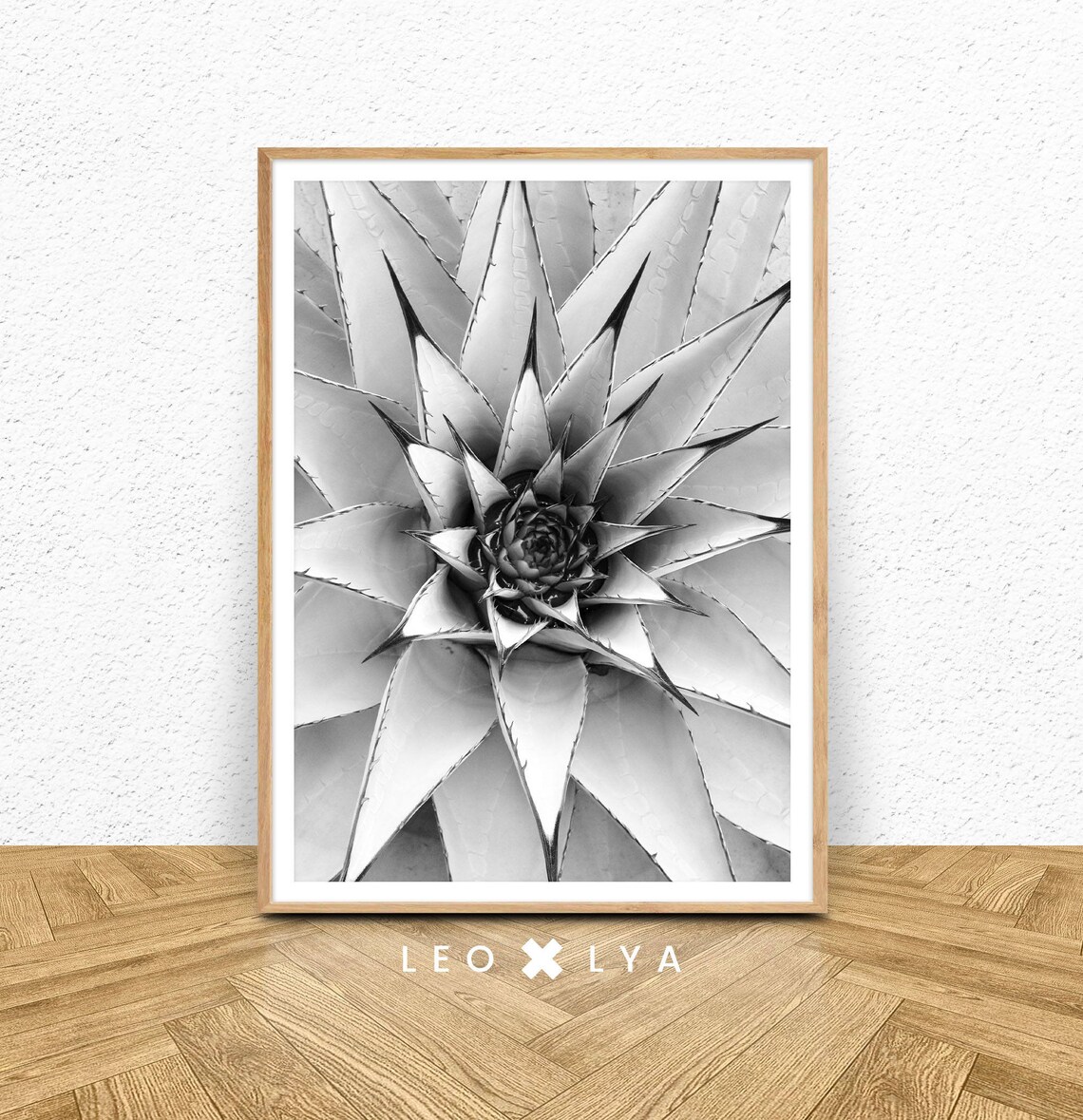 Agave Plant Top View Black and White Geometric Botanical Poster