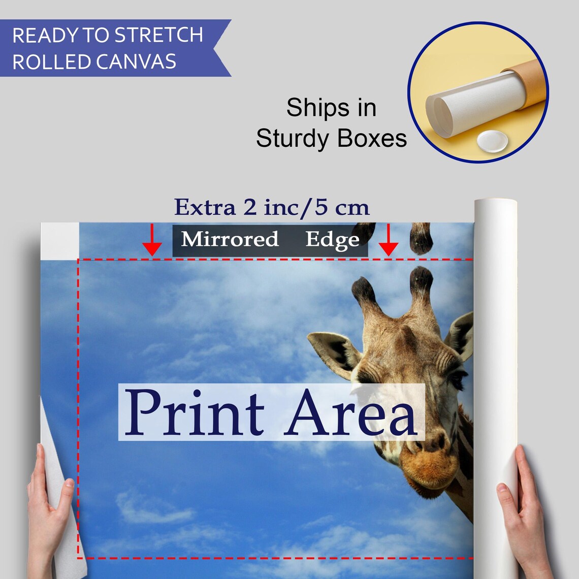 Curious Giraffe Head Peeking Into Frame Blue Sky Safari Photo Poster - Image 4