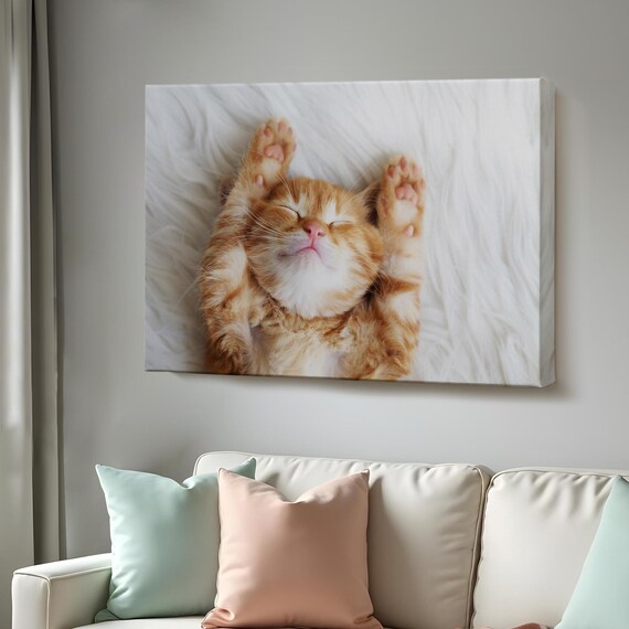 Ginger Kitten Lying On Back Paws Up White Fur Cute Cat Photo Poster