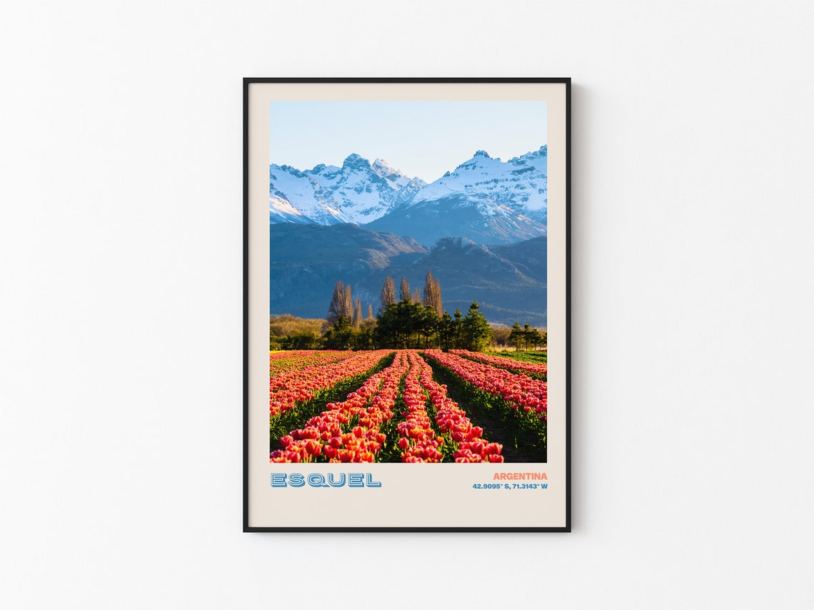 Esquel Argentina Blooming Tulip Fields Snow Mountain View Poster - Image 3
