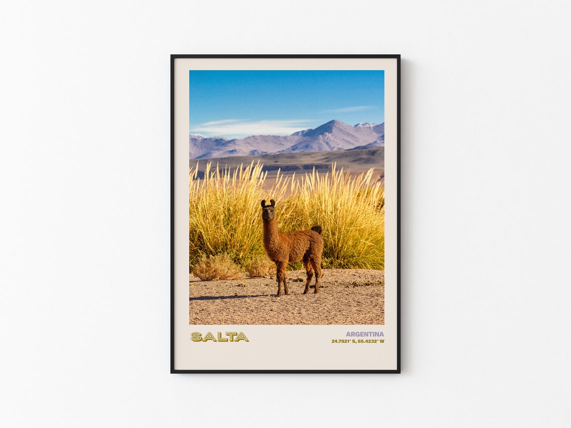 Salta Argentina Llama Standing in Desert With Mountains Poster - Image 3
