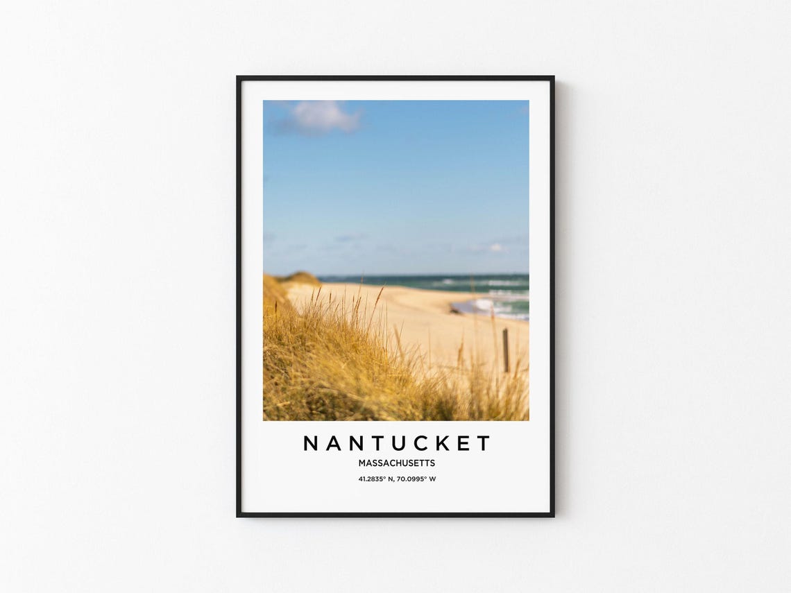 Nantucket Massachusetts Dune Grass Ocean Beach Serene Poster