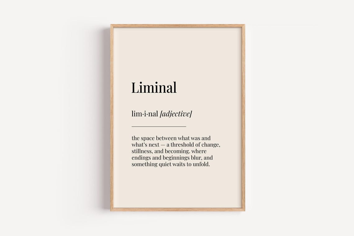 Liminal Definition Print Dictionary Poster Office Wall Art Funny Gift For Him Her