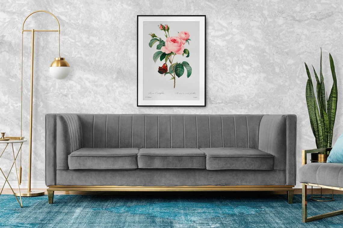 Pink Rosa Centifolia Rose by Redoute Vintage Botanical Poster - Image 2