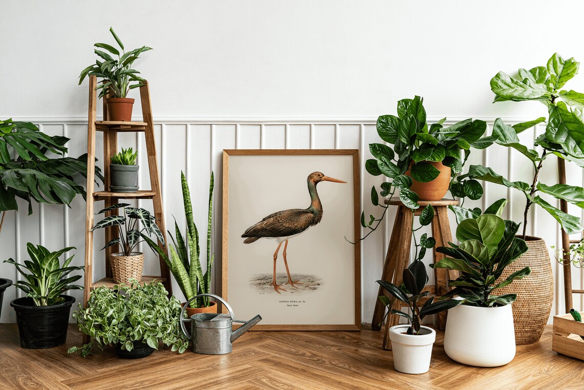 Black Stork Bird Art Print, Vintage Nature Decor - Image 2