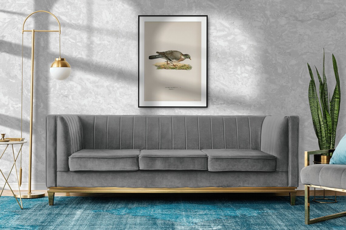 Wood Pigeon Male Bird Vintage Nature Art Print - Image 2