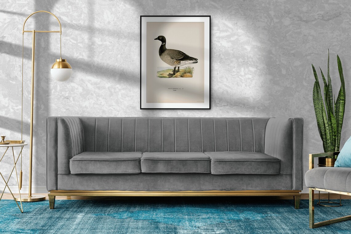 Brent Goose Bird Art Print, Vintage Nature Decor - Image 2