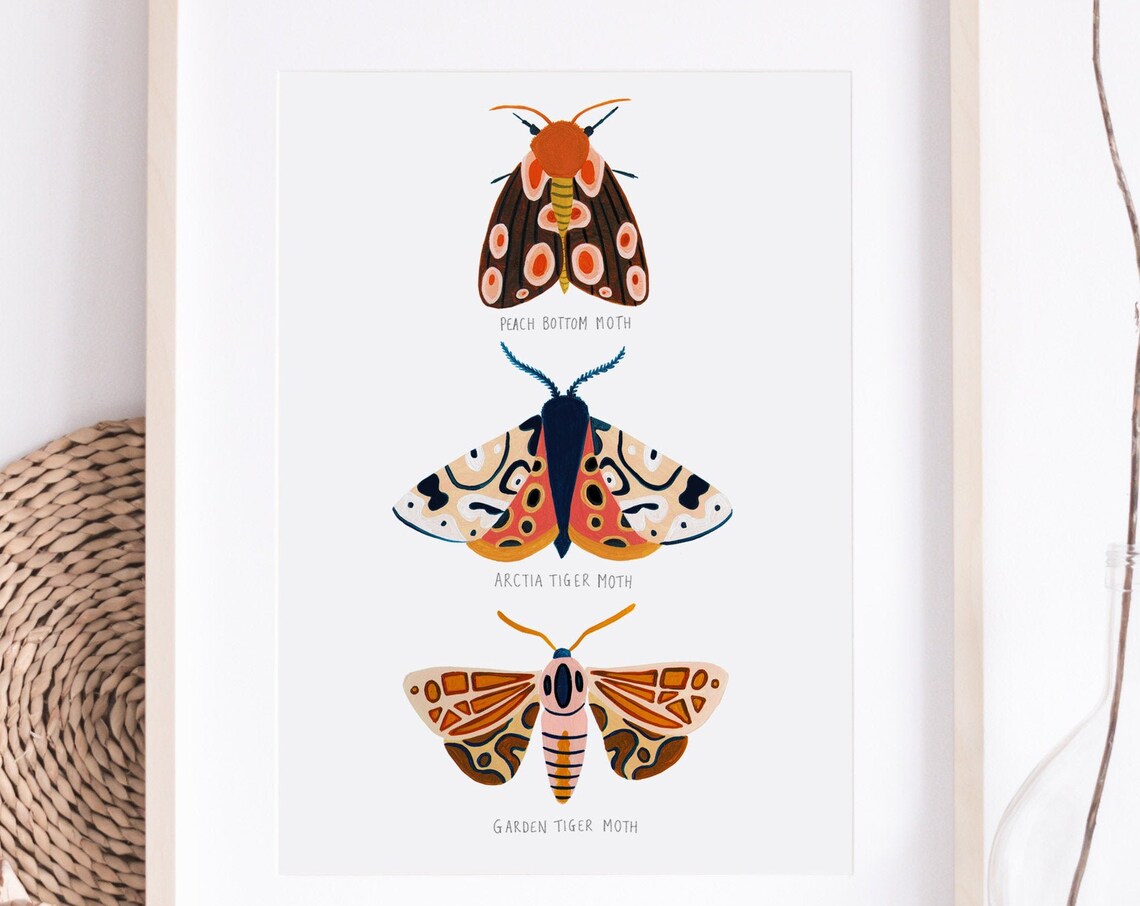 Moth Trio Art Print, Woodland Nursery Decor - Image 5