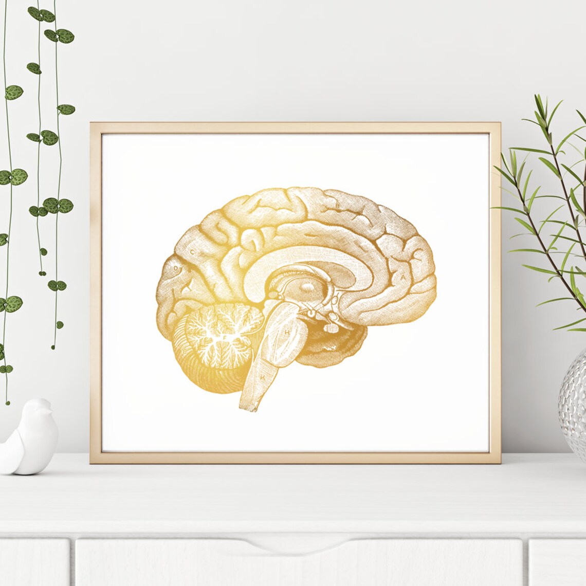 Brain Anatomy Gold Foil Art Print, Neurology Decor - Image 3