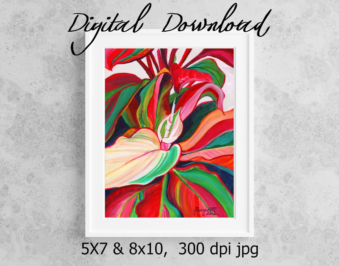 Red Ti Leaves, Kauai Hawaiian Art Print for Decor