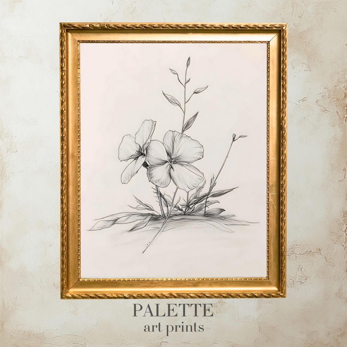 Delicate Single Wildflower Bloom Botanical Pencil Drawing Wall Art