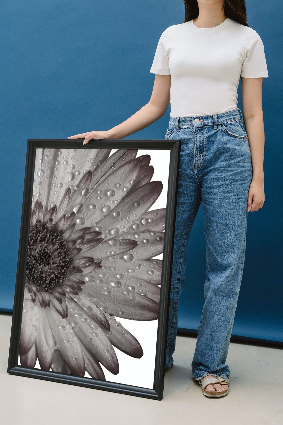 Daisy Close Up Poster Raindrops On Petals Black And White Art - Image 2