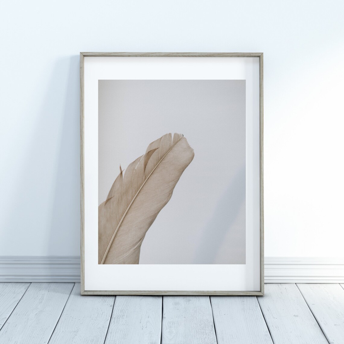 Feather Close-Up Art Print, Bird Feather