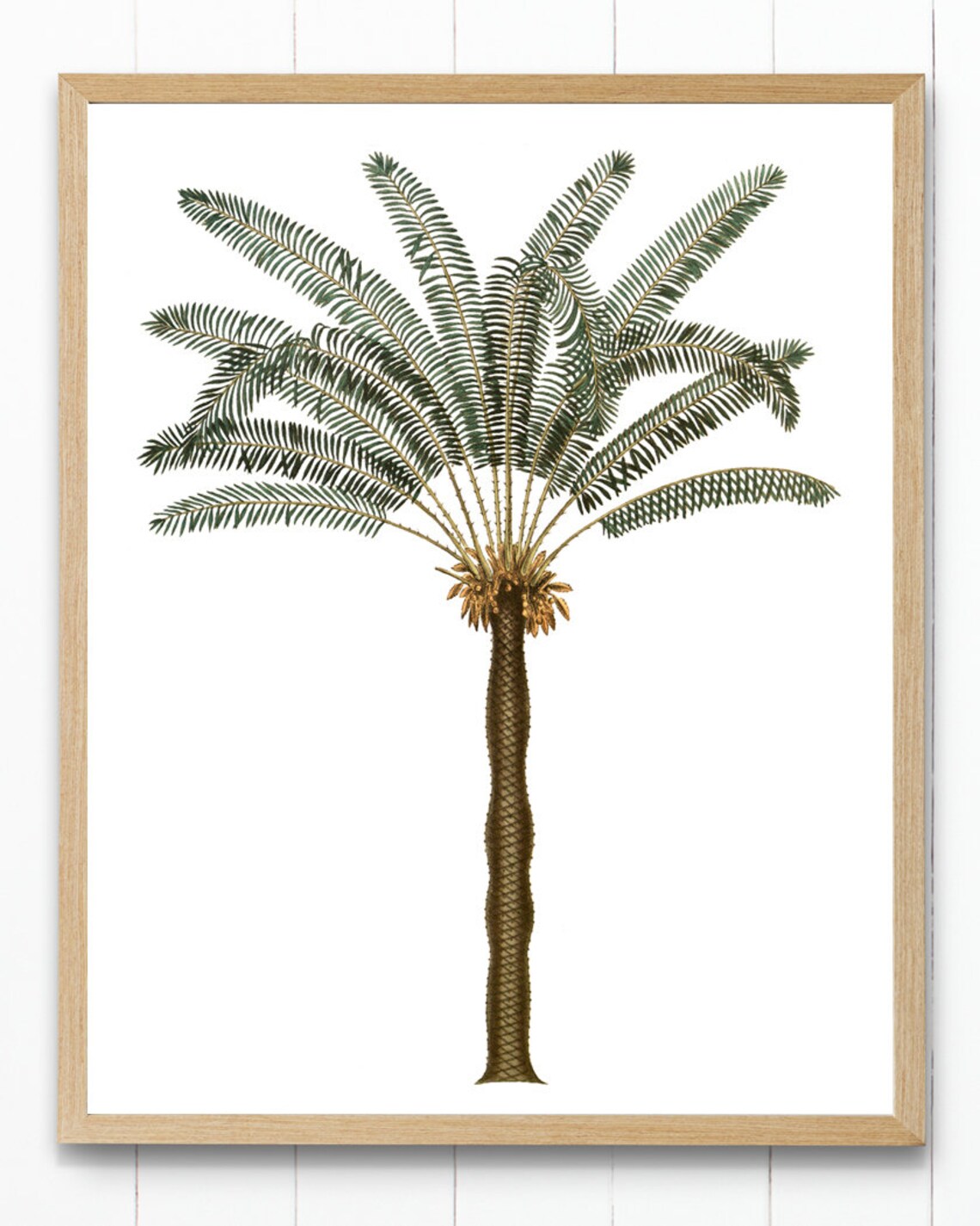 Palm Tree Vintage Illustration, Tropical Botanical Art Print - Image 3