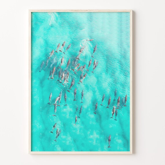 Dolphin Swimming Colorful Poster Print Dolphin Swimming Photo Wall Art Wall Art Boho Decor Colorful Wall Art C18 181