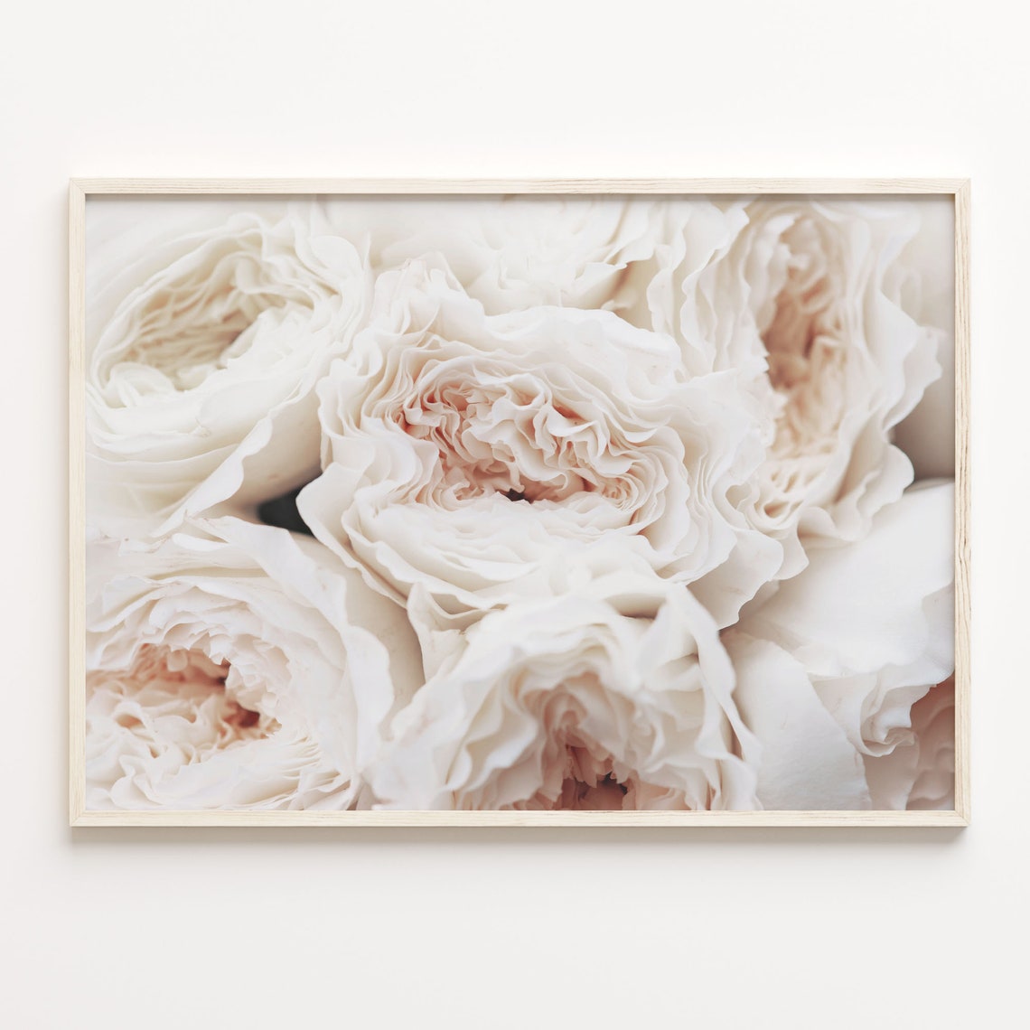 Blush White Peonies Roses Soft Floral Close Up Elegant Print