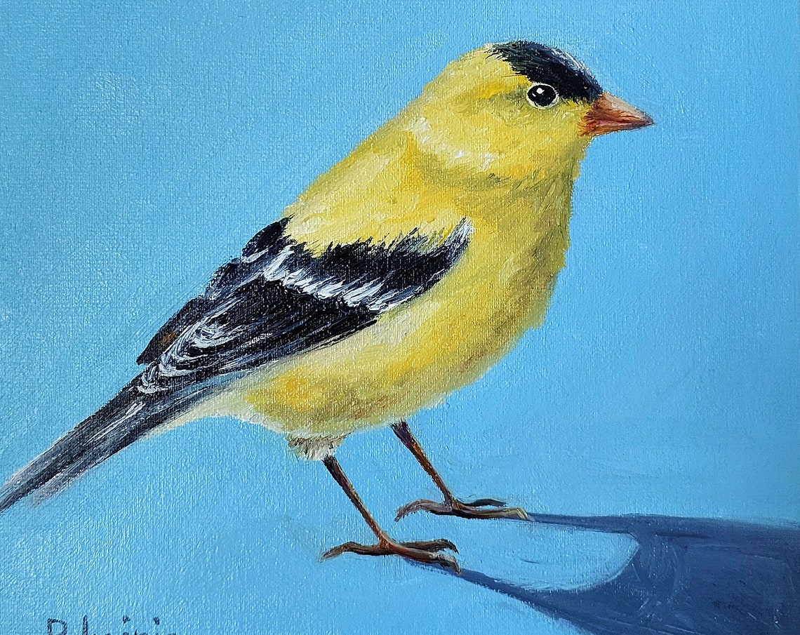 American Goldfinch Male on Bright Blue Background Oil Poster