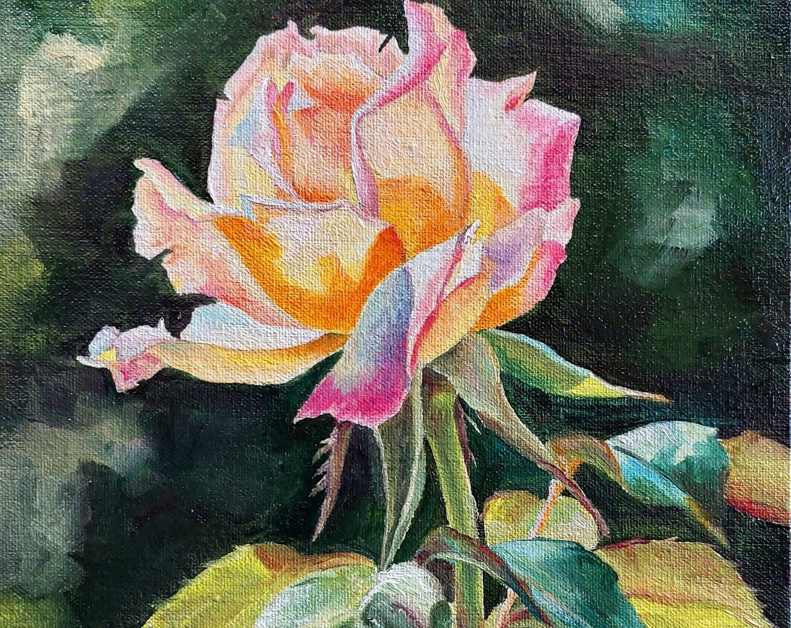Yellow Pink Rose Oil Painting Sunlit Garden Flower Close Up Poster