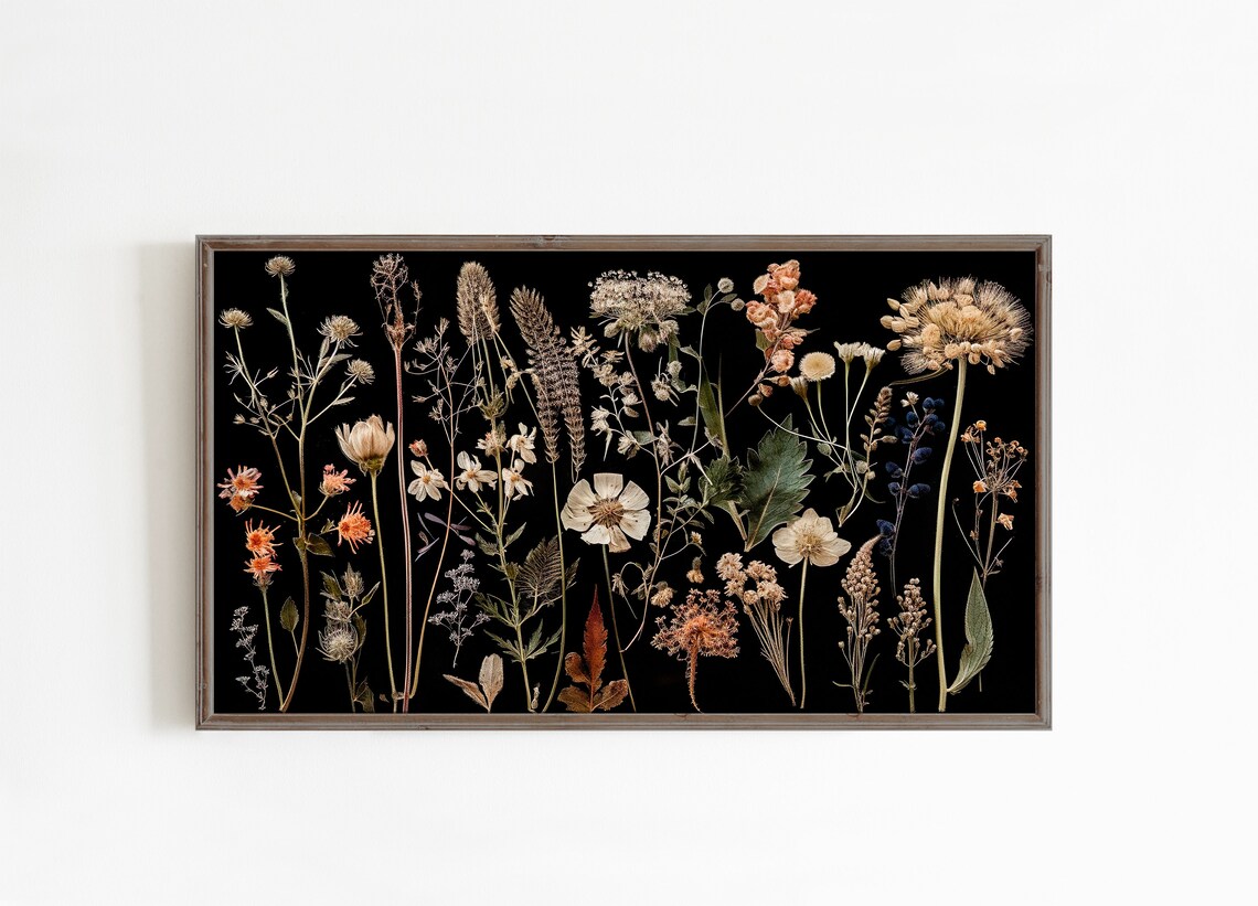 Pressed Wildflowers on Black Vintage Botanical Herbarium Poster - Image 3