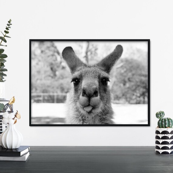 Aussie Attitude Australian Kangaroo Print Wall Art A4 A3 A2 A1
