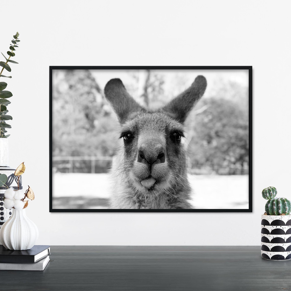 Cheeky Kangaroo Sticking Tongue Out Funny Animal Photo Print