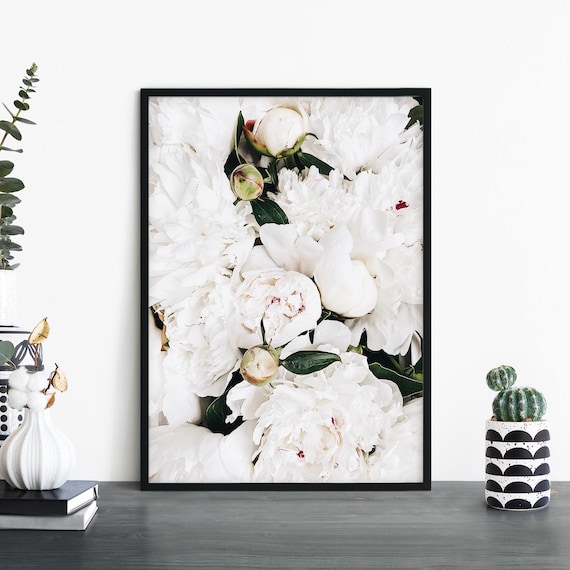 White Peony Bouquet Blossoms And Buds Floral Photography Poster