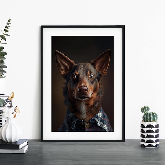 Australian Kelpie Dog In A Plaid Shirt Dark Studio Portrait Poster