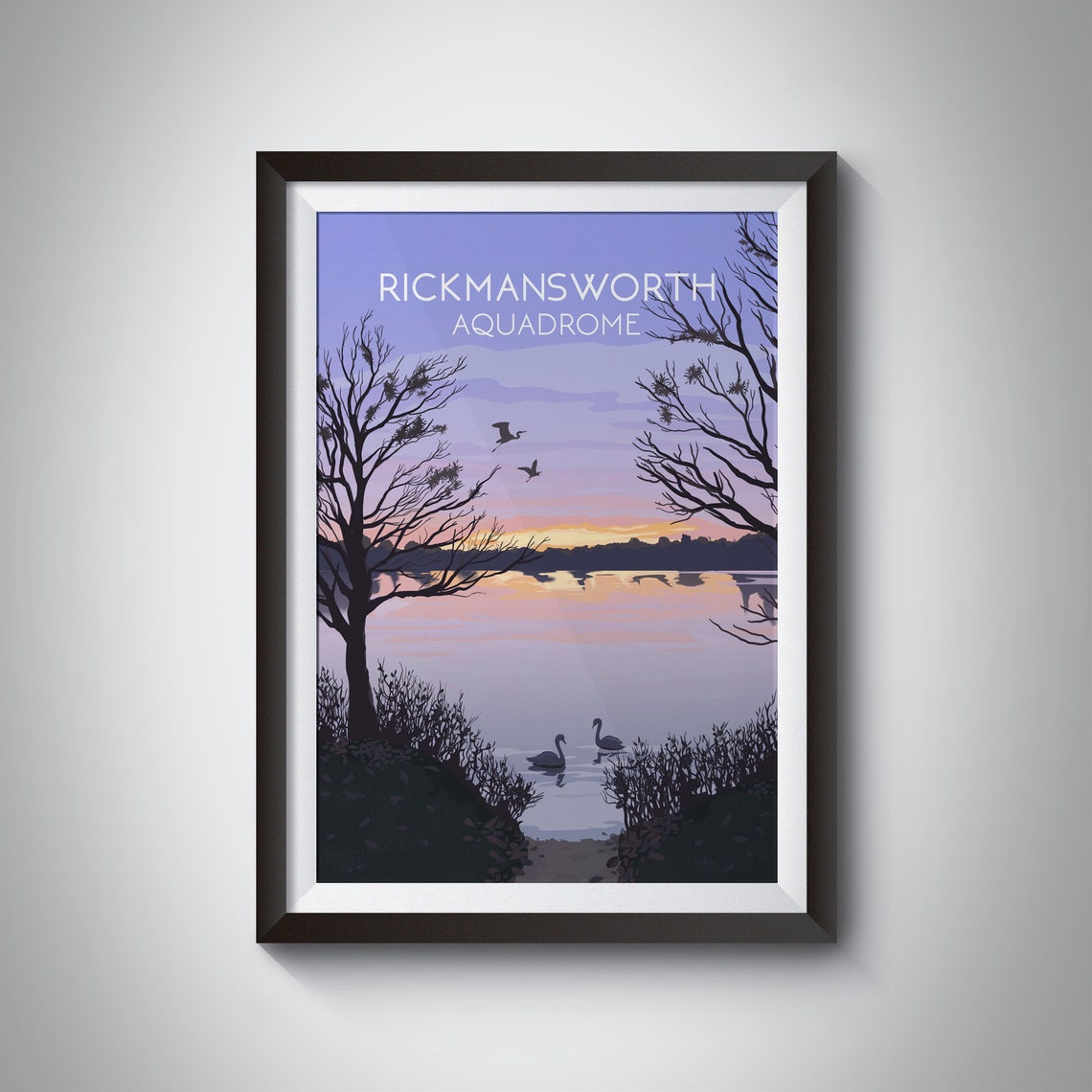 Rickmansworth Aquadrome Sunset Swans Lake Hertfordshire Poster
