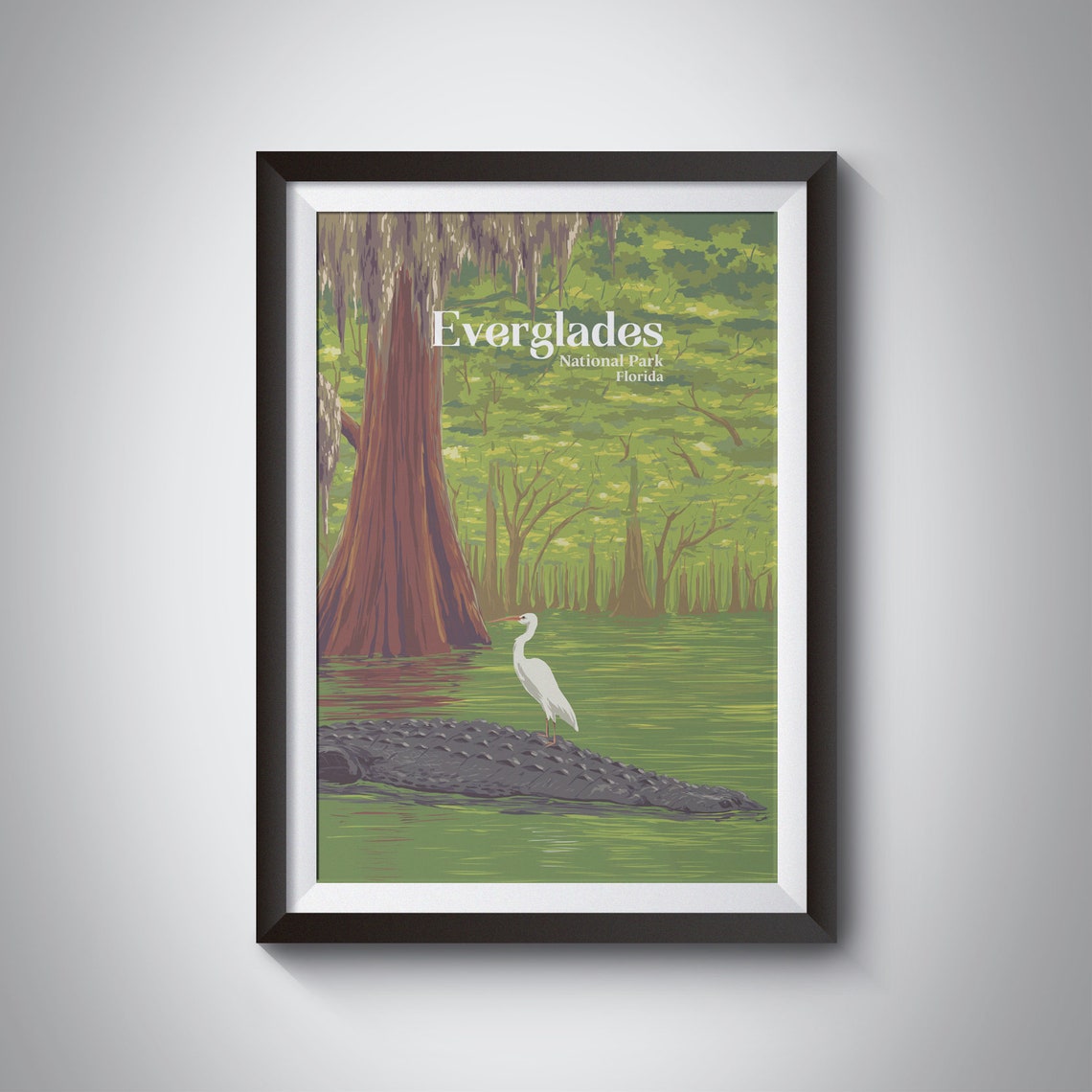 Everglades National Park Alligator Egret Florida Swamp Poster