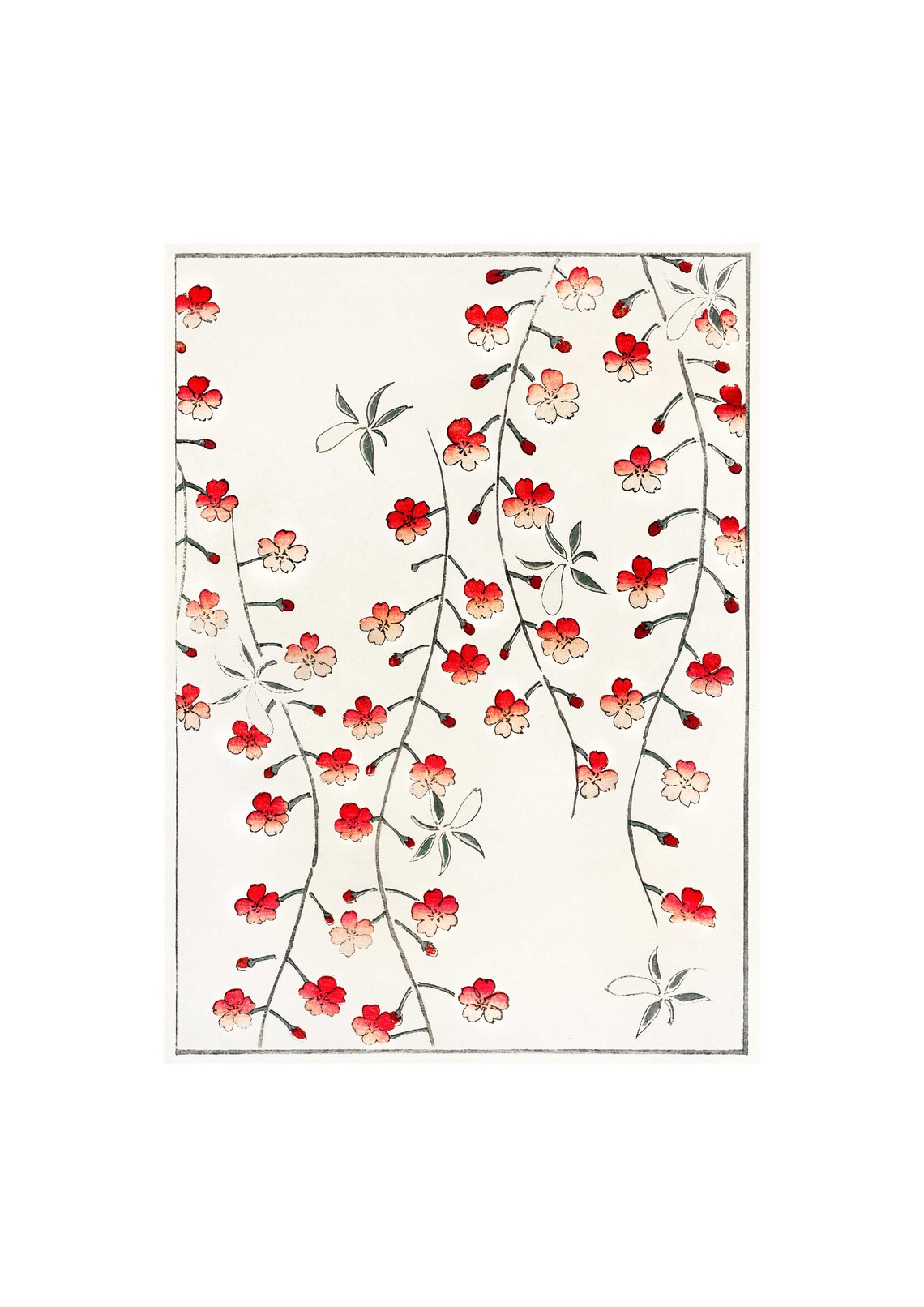 Cherry Blossom Watanabe Seitei Bijutsu Sekai Japanese Woodblock Poster