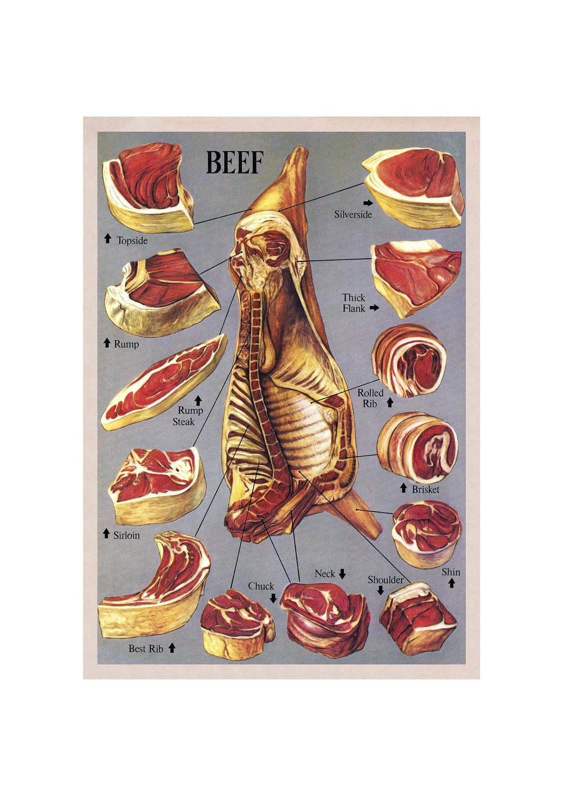 Vintage Beef Cuts Butcher Chart Kitchen Diagram Illustration Wall Art